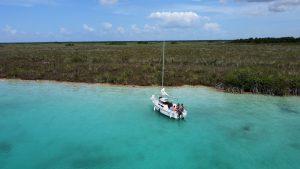 manglares de bacalar